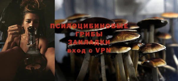 дживик Армянск