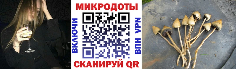 MEGA ссылка  наркотики  маркетплейс как зайти  Галлюциногенные грибы MAGIC MUSHROOMS  Няндома 