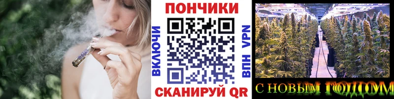Канабис Bruce Banner Няндома